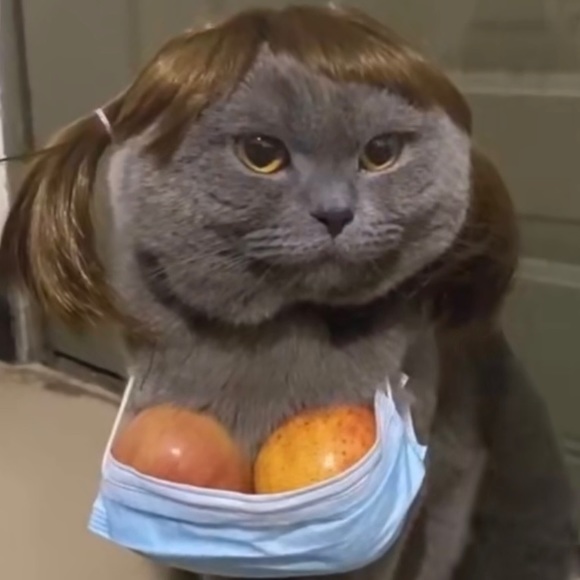 Meet your Posher, Laura - Picture 1 of 1